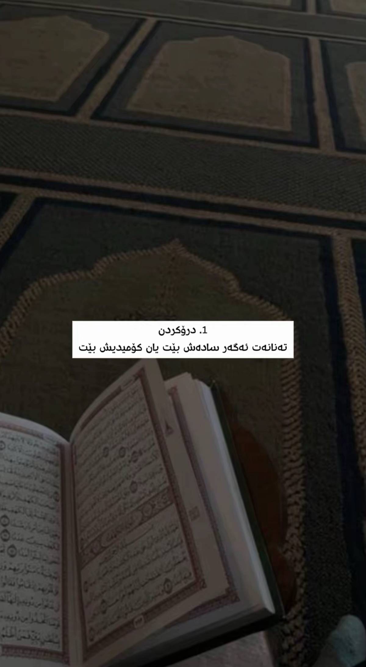وێنە 2