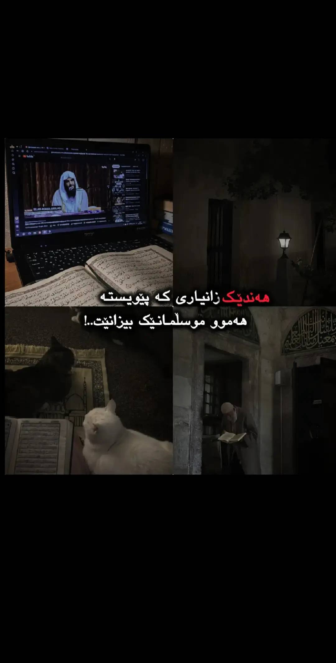 وێنە 1