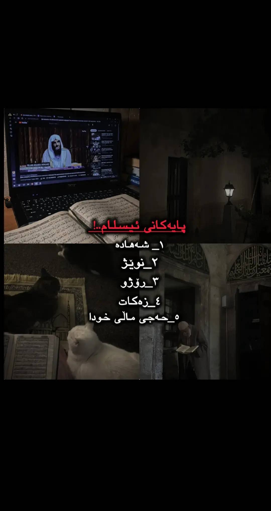 وێنە 2