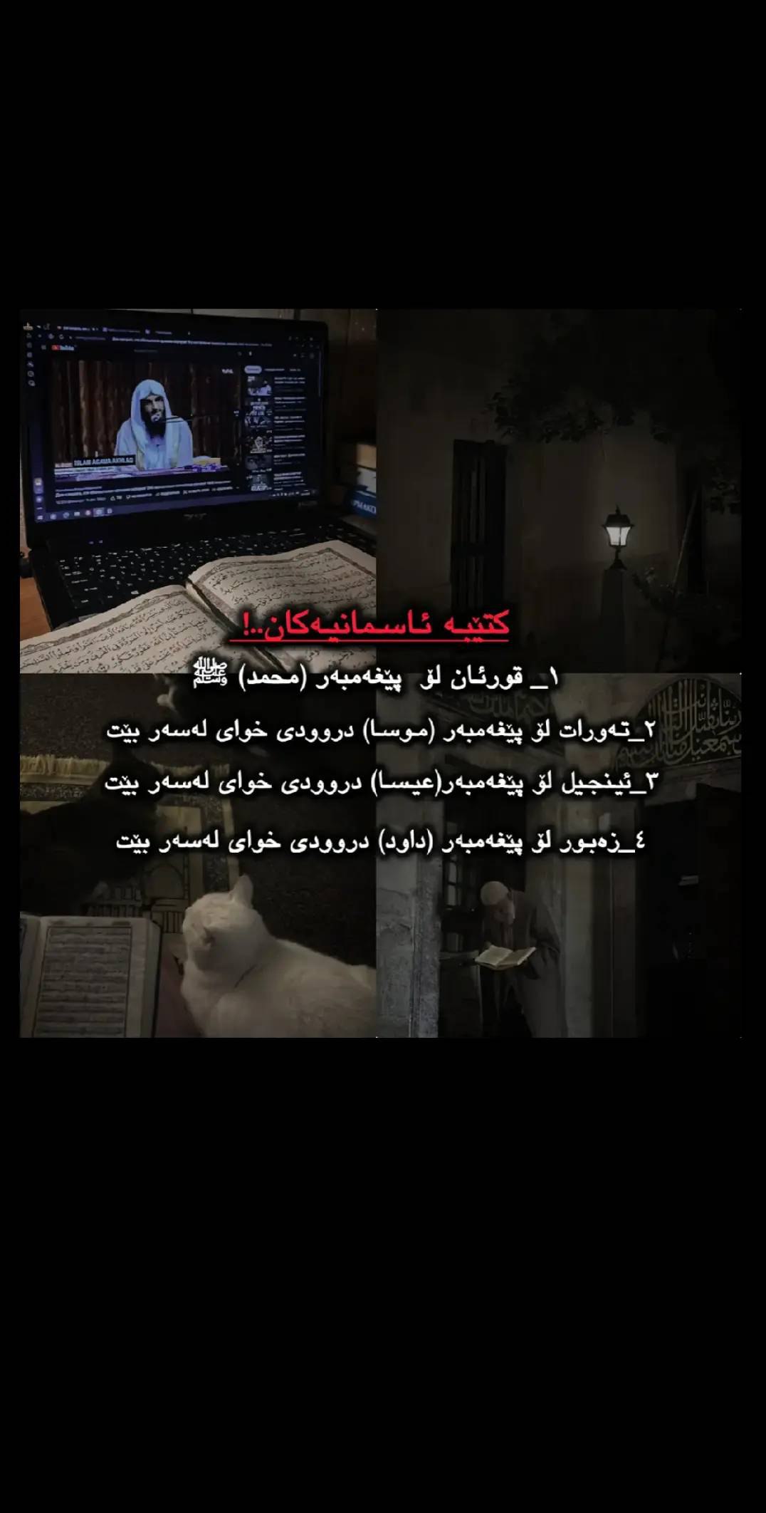 وێنە 4