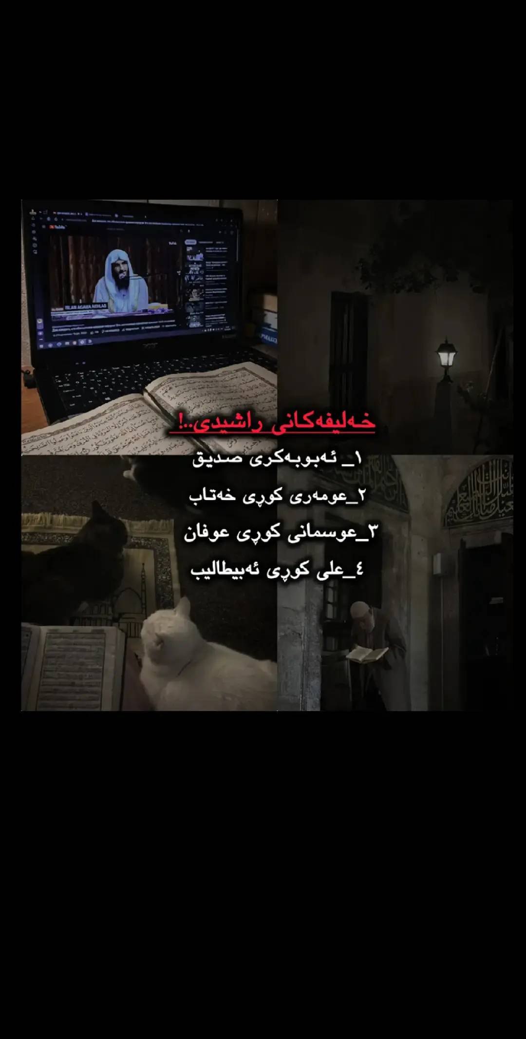 وێنە 5